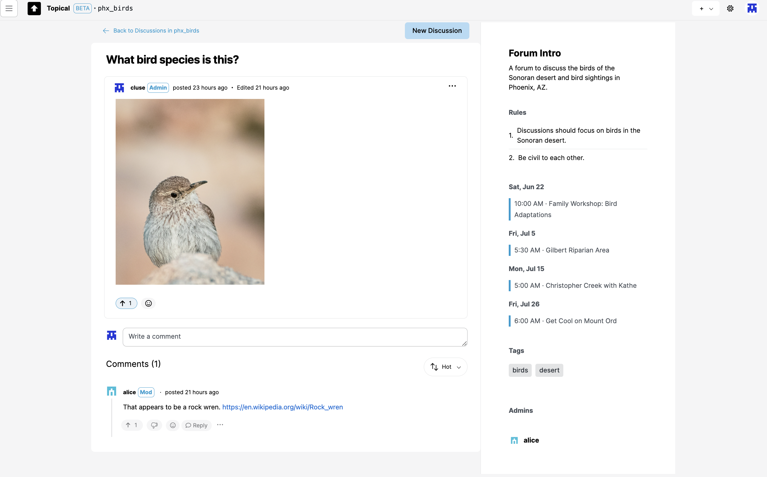 Phoenix bird lovers discussion detail