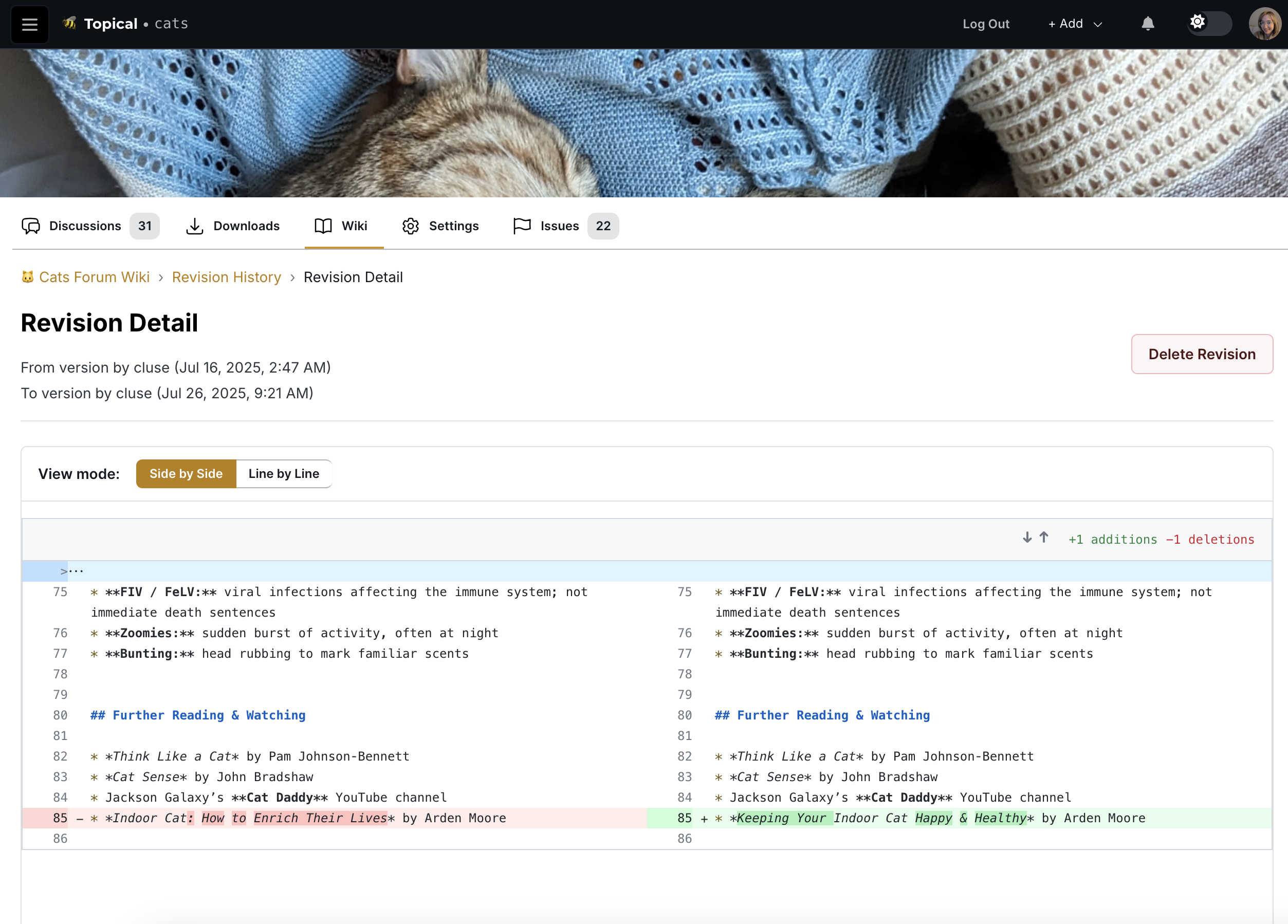 wiki revision diff view